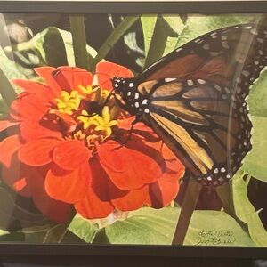 Butterfly on Red Flower Photo Framed Art-“Lottie Dottie” taken by Dyan La Belle
